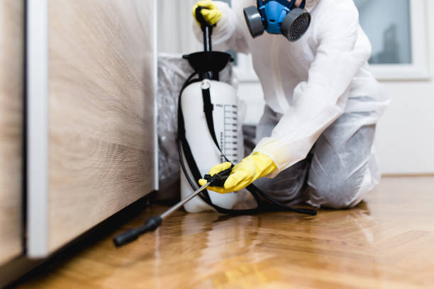 Best Pest Control Near Me in North Syracuse, NY
