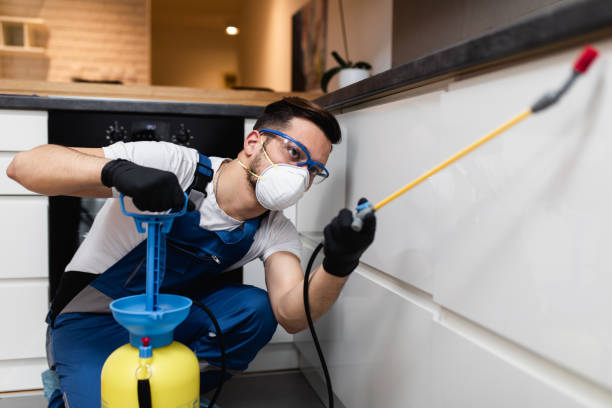 Best Pest Inspection Near Me  in North Syracuse, NY