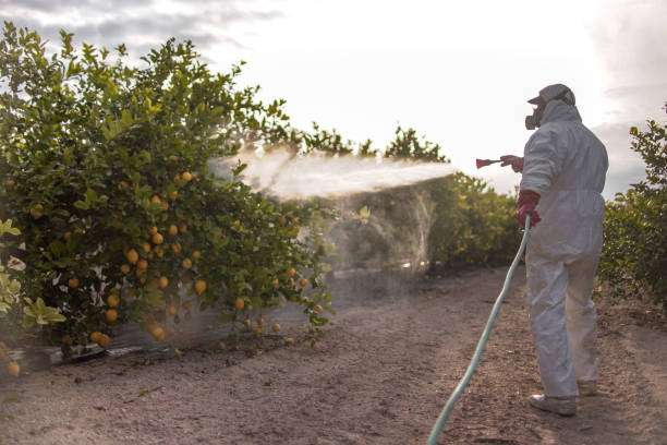 Best Pest Removal Services  in North Syracuse, NY