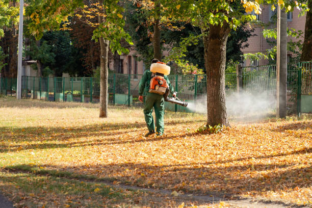 Best Best Pest Control Companies  in North Syracuse, NY