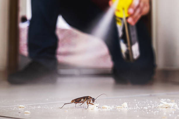 Best Bed Bug Extermination  in North Syracuse, NY