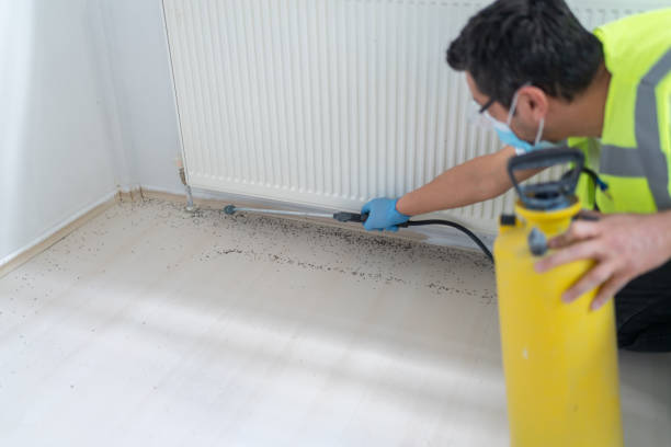 Best Rat Extermination Near Me  in North Syracuse, NY