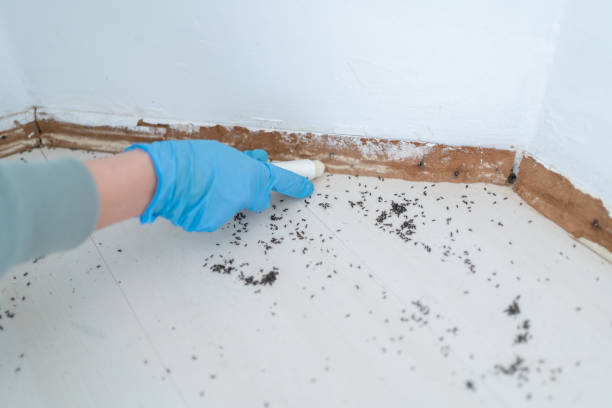 Best Best Pest Control Companies  in North Syracuse, NY